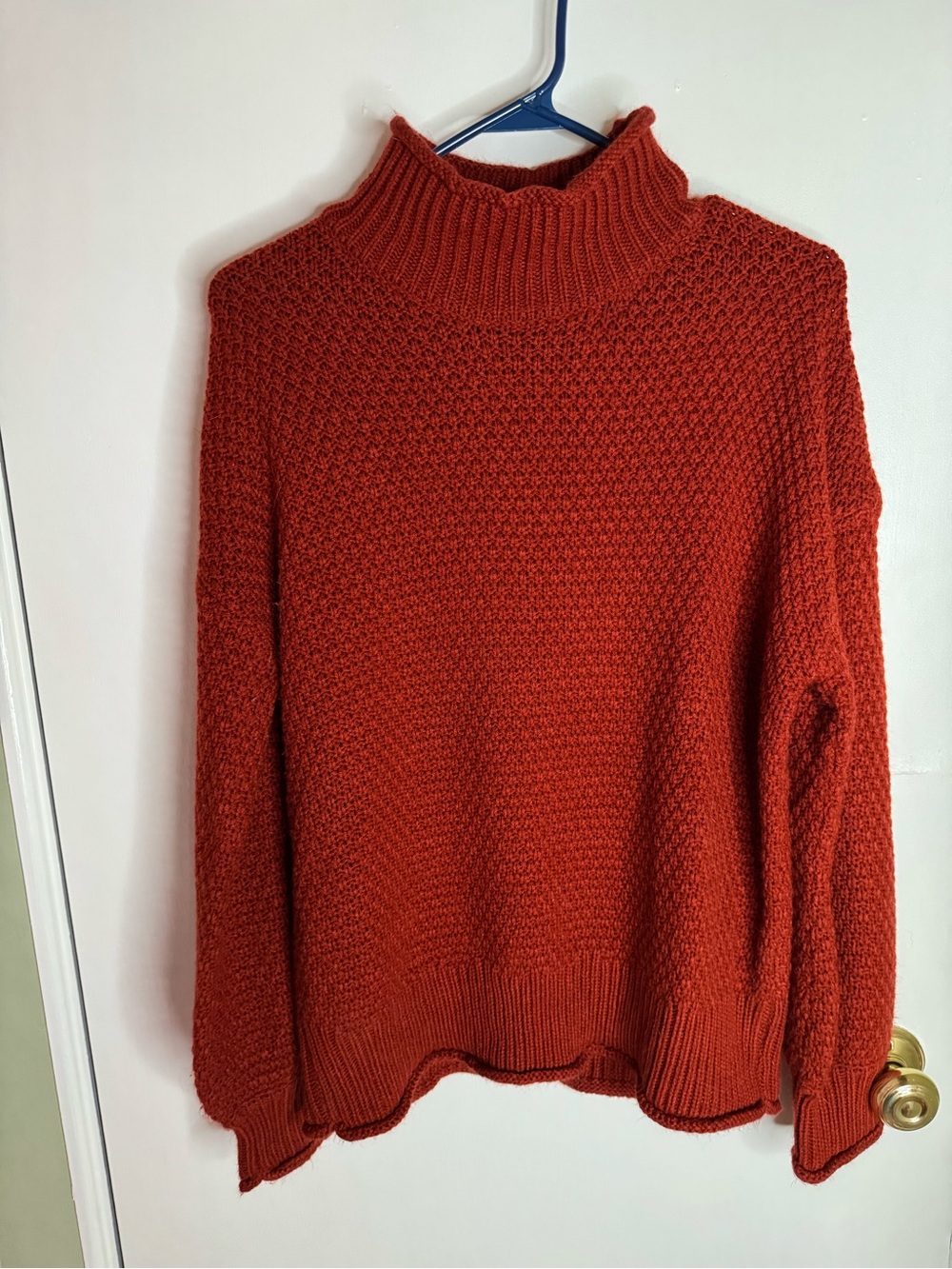 Rust Red Turtleneck Knit Sweater - Women